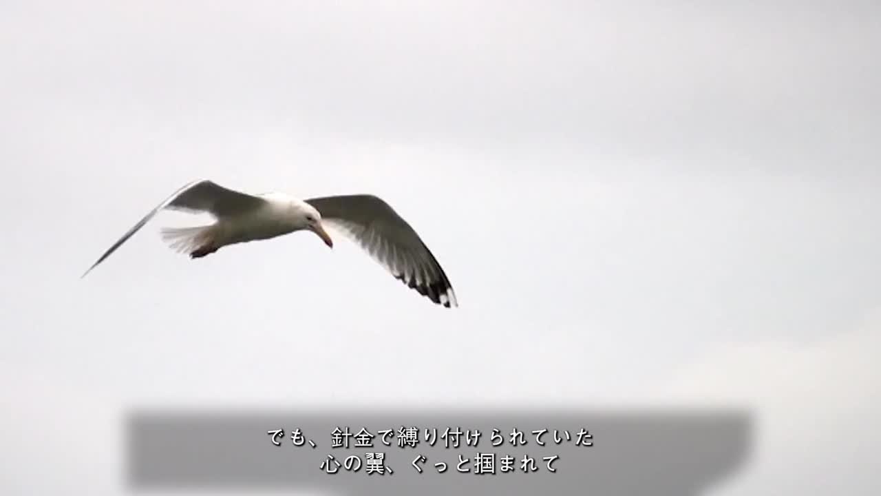 갈매기의 꿈(일본어 버전)