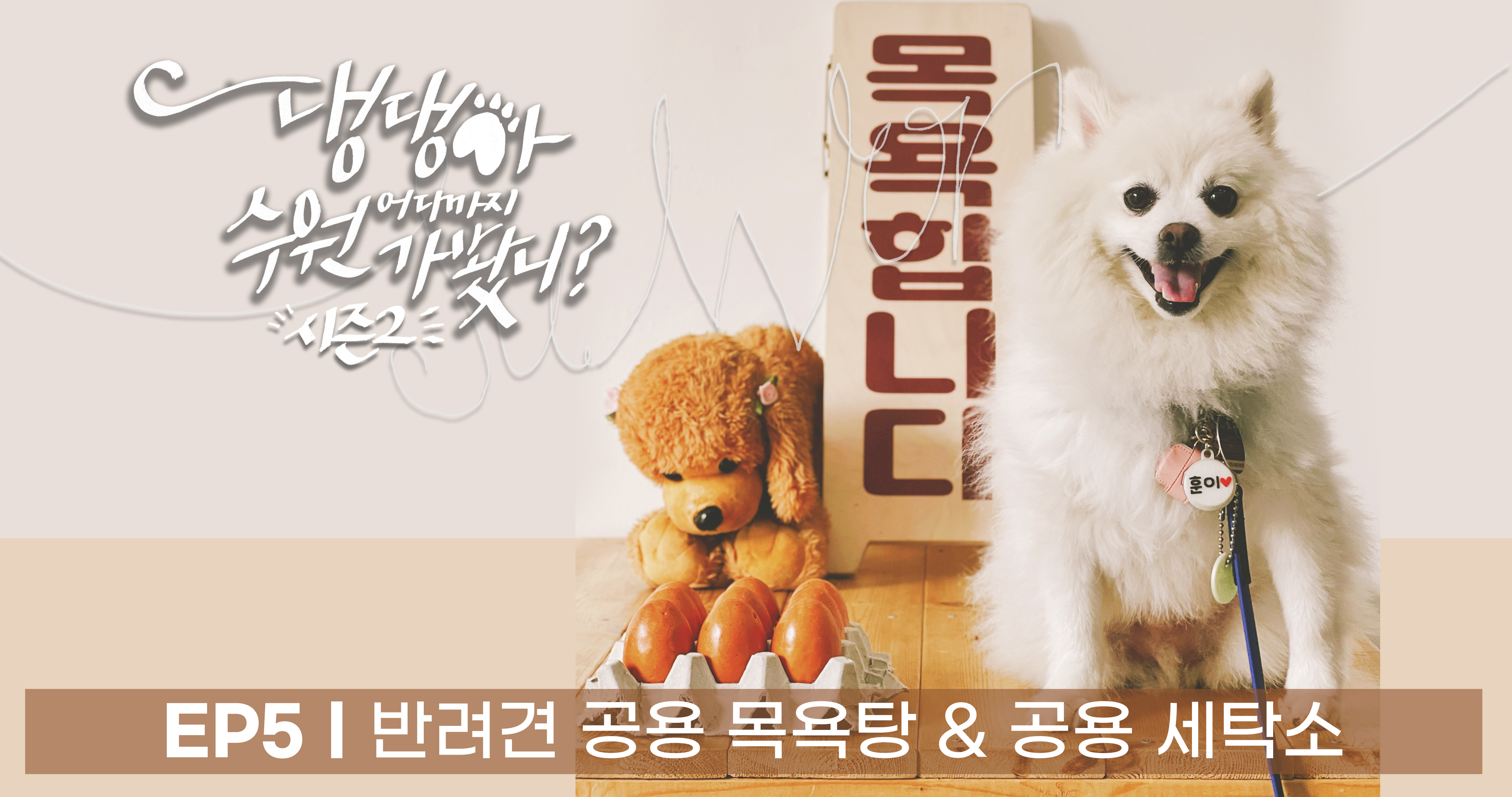 [훈이의꿀팁] 댕댕아 수원 어디까지 가봤니? 시즌2 - 반려견 공용 목욕탕 & 공용 세탁소?!