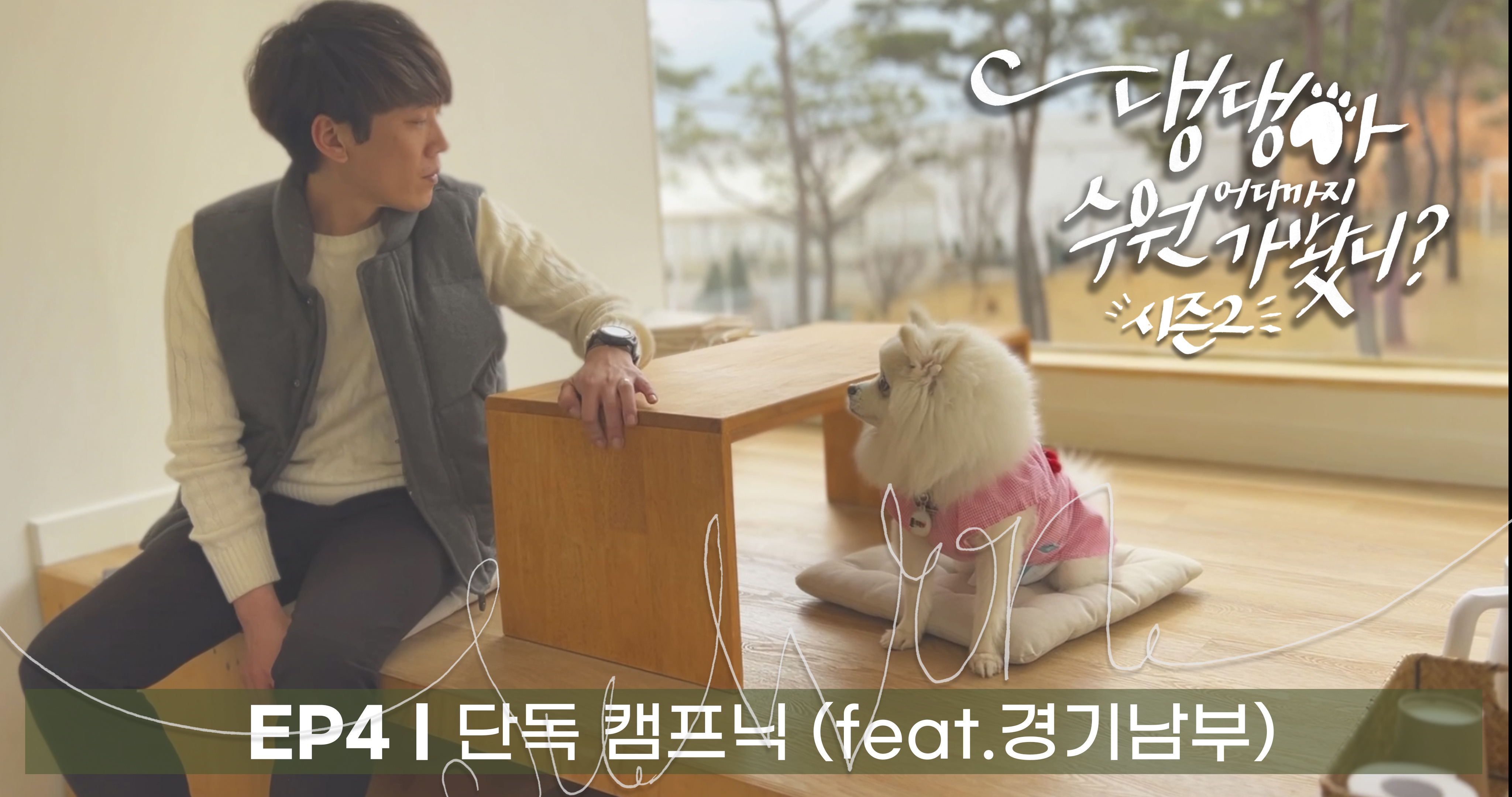 [훈이의꿀팁] 댕댕아 수원 어디까지 가봤니? 시즌2 - 단독 캠프닉 (feat. 경기남부)
